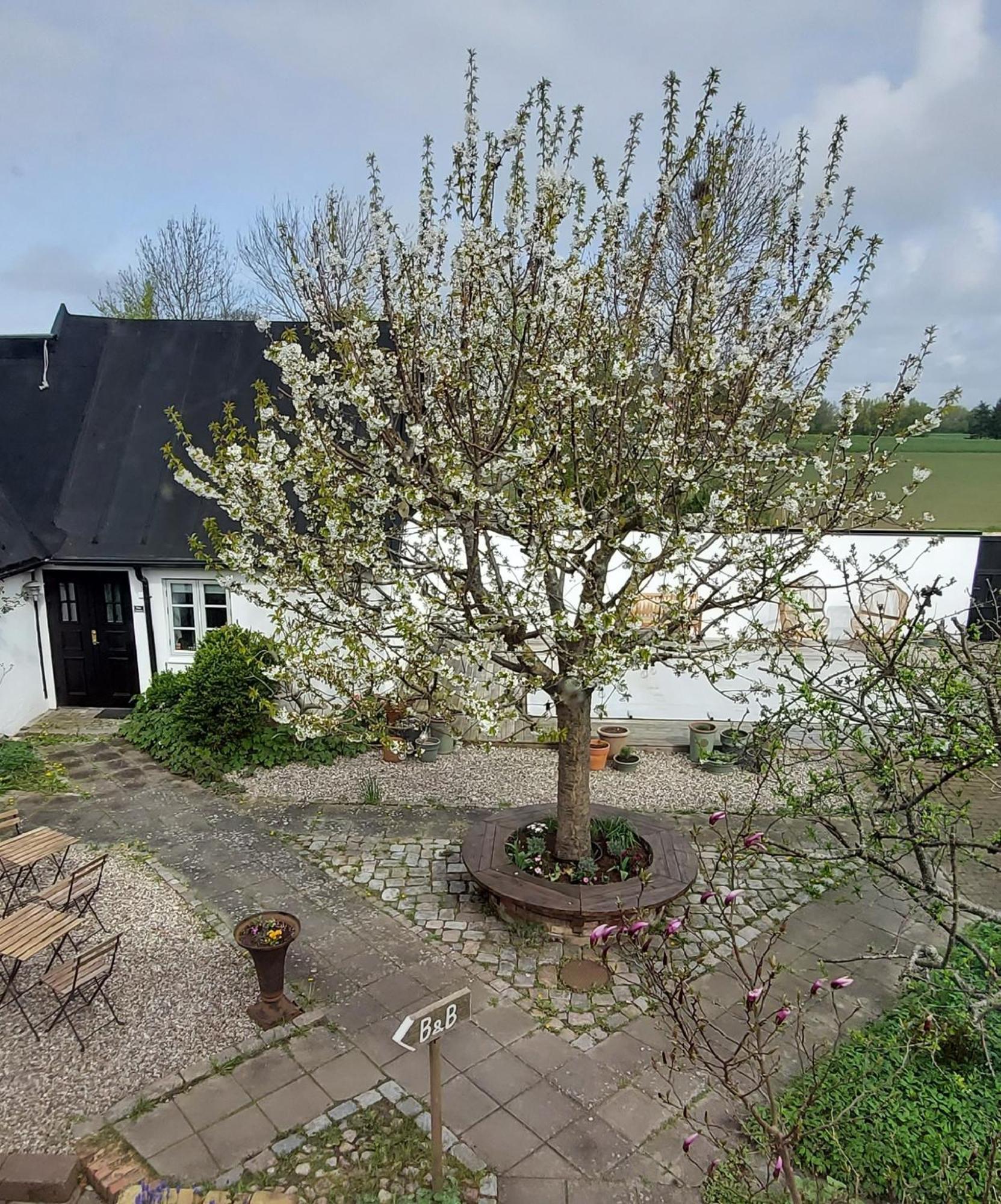 Bjerred B&B Bjärred Buitenkant foto